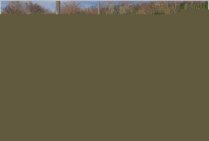 SA0711 A0415